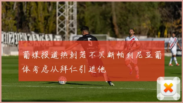 葡媒报道热刺若不买断帕利尼亚葡体考虑从拜仁引进他