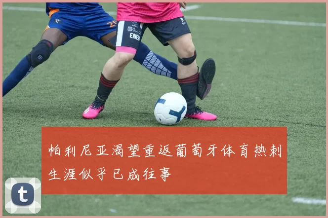帕利尼亚渴望重返葡萄牙体育热刺生涯似乎已成往事