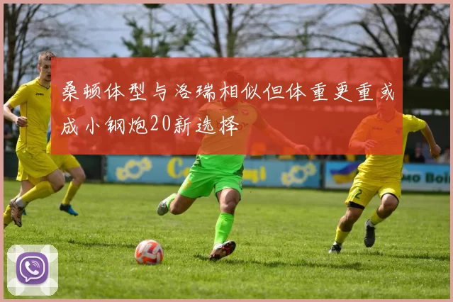 桑顿体型与洛瑞相似但体重更重或成小钢炮20新选择